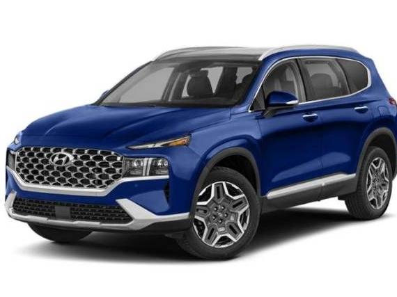 HYUNDAI SANTA FE 2023 5NMS4DAL5PH500565 image